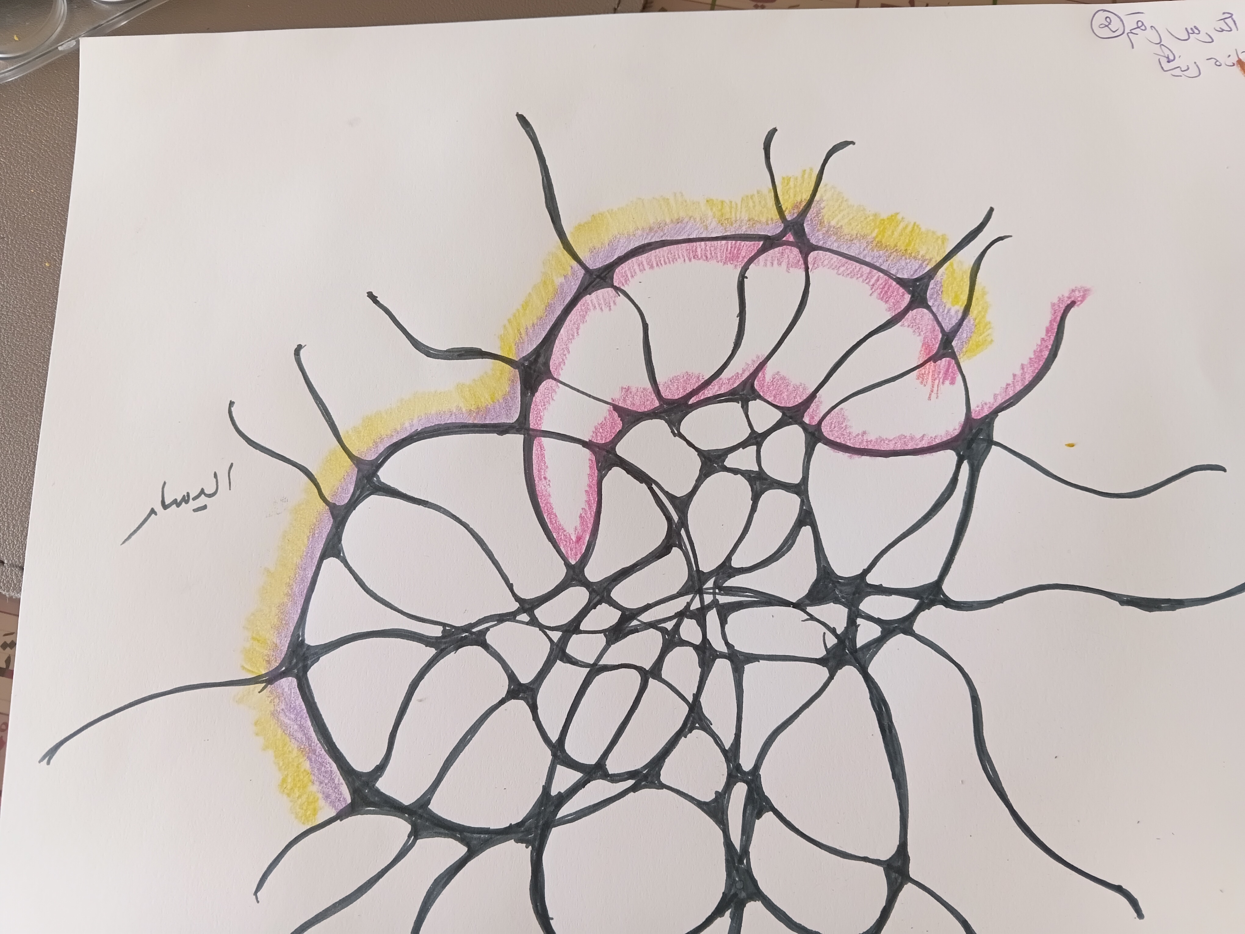 الرسم العصبي